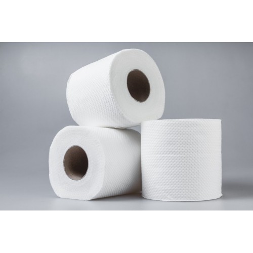 AFRICAN SUN 10'S TOILET TISSUE 300S