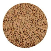 EASTCAPE 10X500G LENTILS BROWN