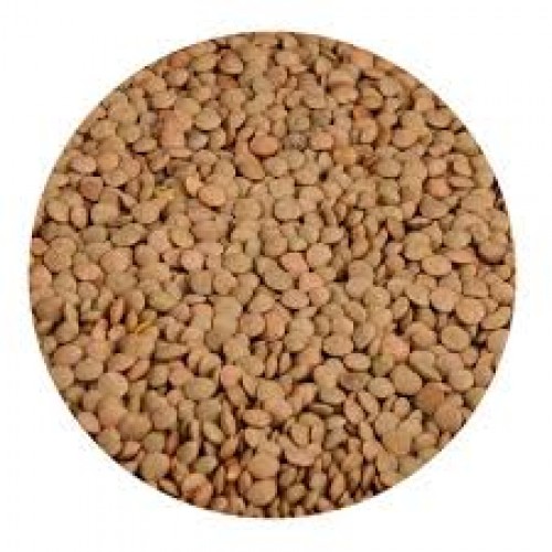 EASTCAPE 10X500G LENTILS BROWN