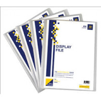 DISPLAY FILE 10 POCKETS