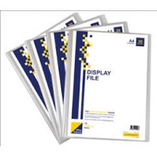 DISPLAY FILE 10 POCKETS