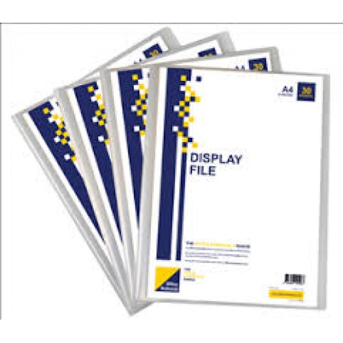 DISPLAY FILE 10 POCKETS