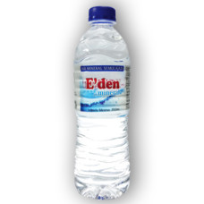 500ML EDEN WATER