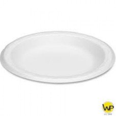 PICNIC PLATES 250PCS MAIN-PAK FOAM
