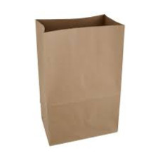 KRAFT BROWN PAPER BAG 2010 100'S