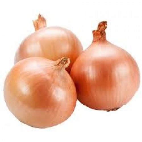 ONIONS POCKET 7KG