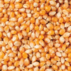 EASTCAPE 10X500G POPCORN
