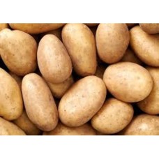 POTATO 10KG BAG ASSORTED