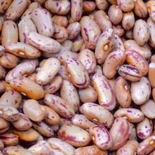EASTCAPE 10X500G SUGAR BEANS