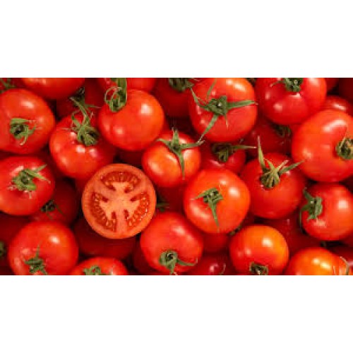 TOMATOS 5KG BAG